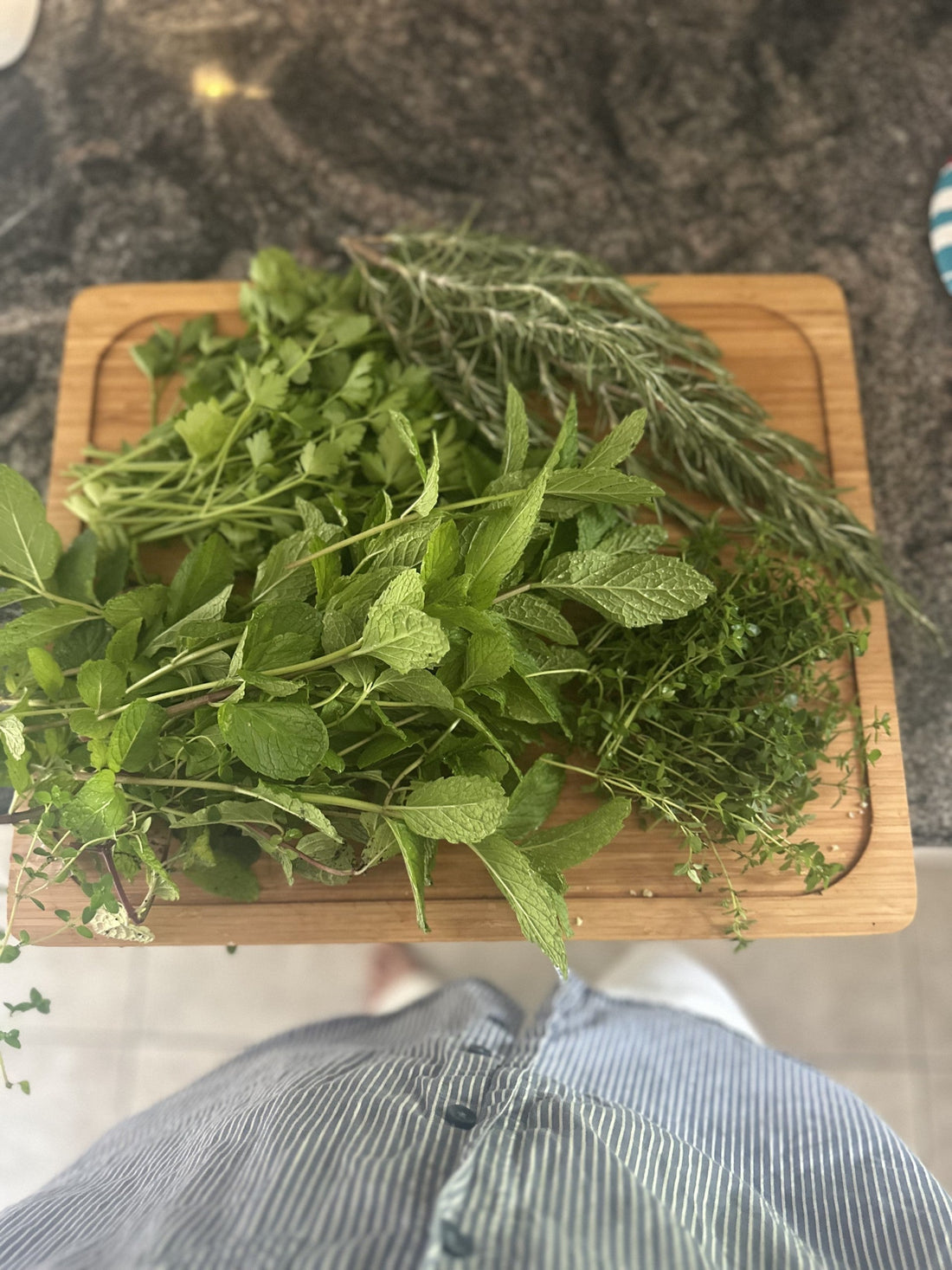 5 Must-Have Herbs Every Home Cook Needs: Growing, Storing ; Preserving Your Kitchen Garden